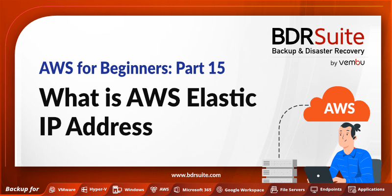 release elastic ip address aws